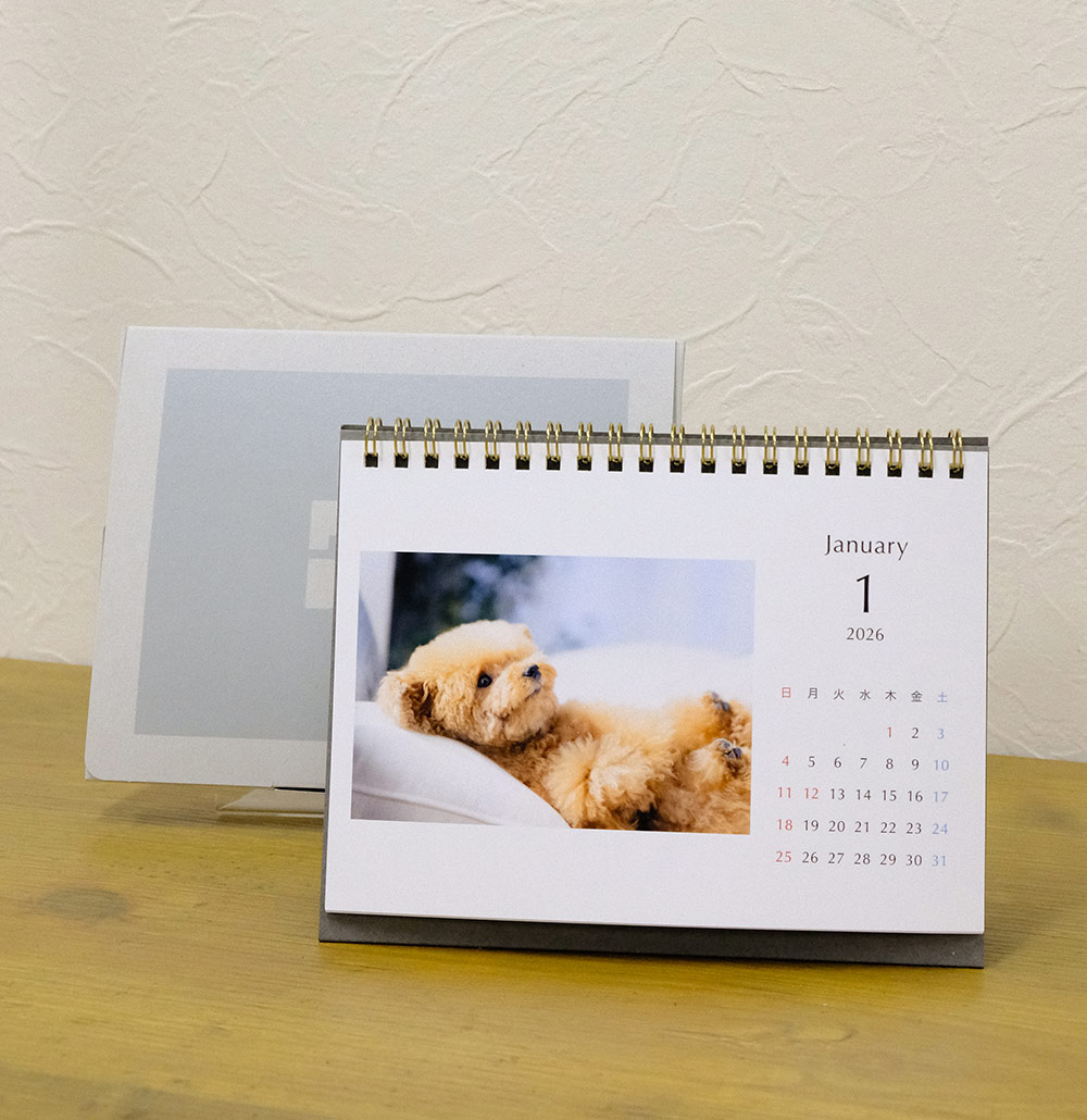 ペット写真 壁掛けカレンダー 2L PDAY