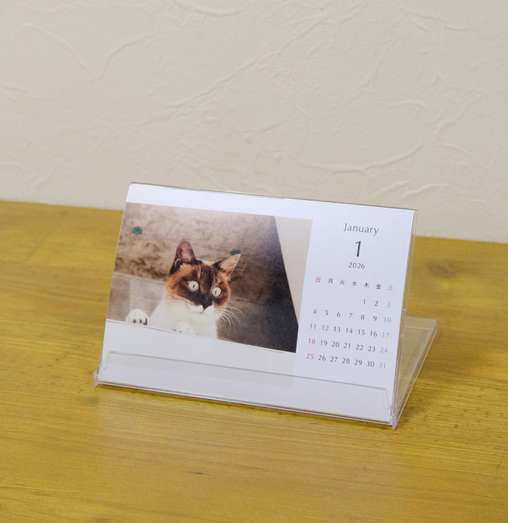 ペット写真 壁掛けカレンダー KG PDAY
