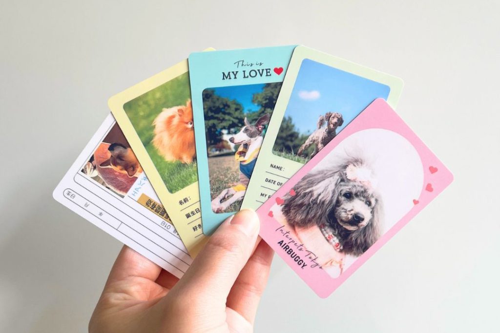 インターペット2026東京コラボ限定イベント紹介（両面トレカ）