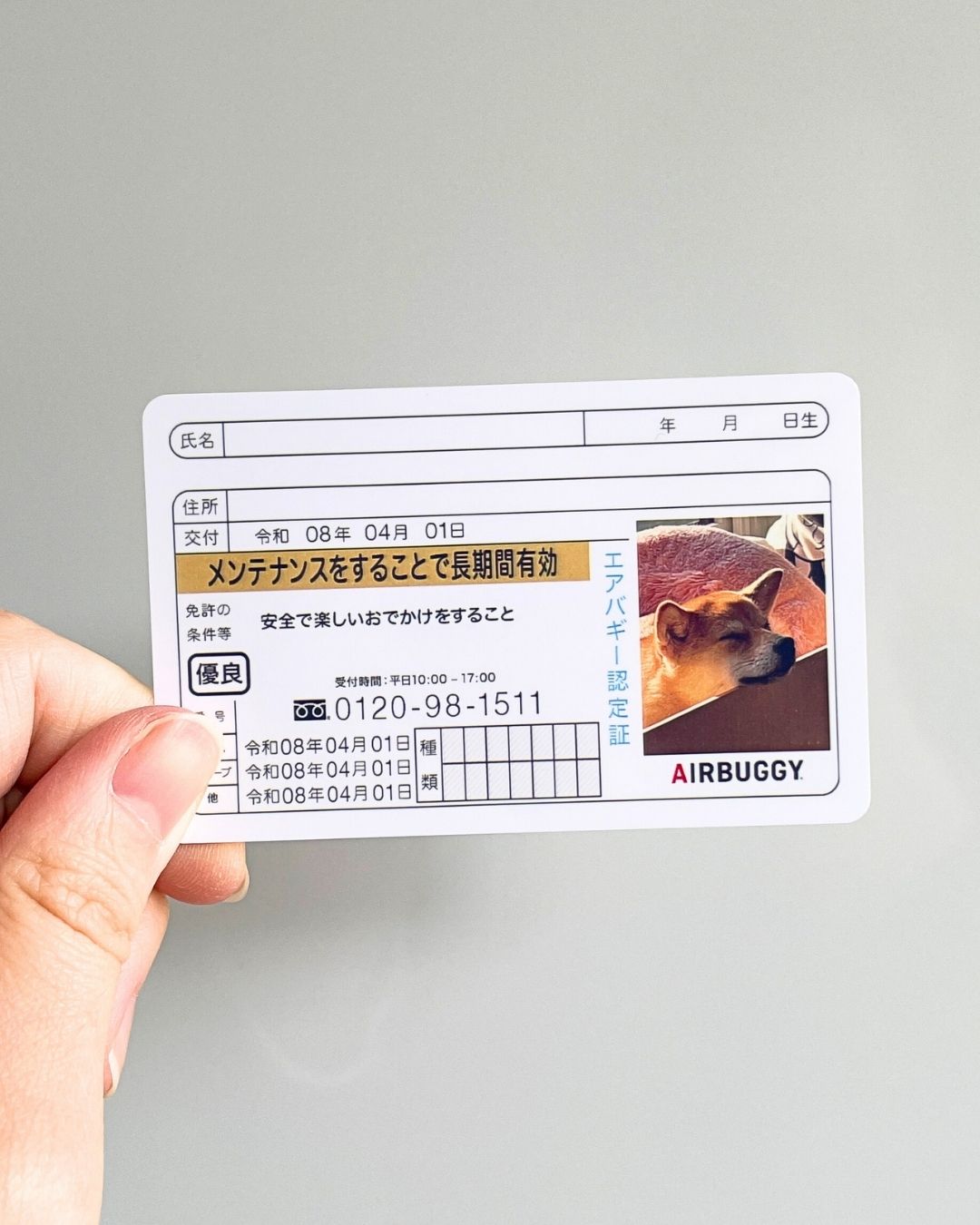 トレカのみ（両面）