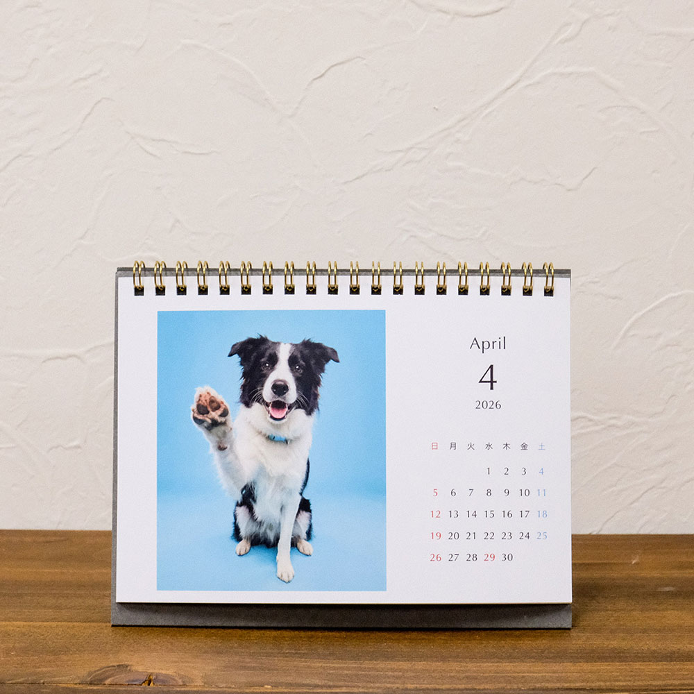 ペットのスタジオ写真で作るPDAYカレンダー２L（作成イメージ）
